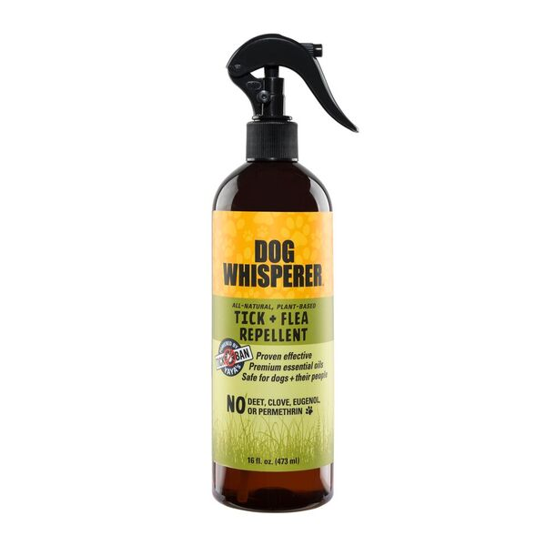 Clove oil dog clearance repellent